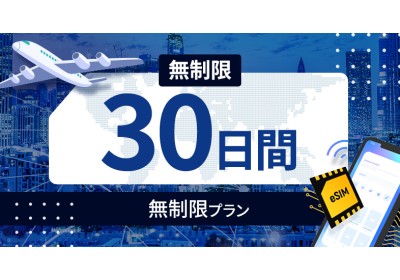 アメリカ 無制限 / 30日間